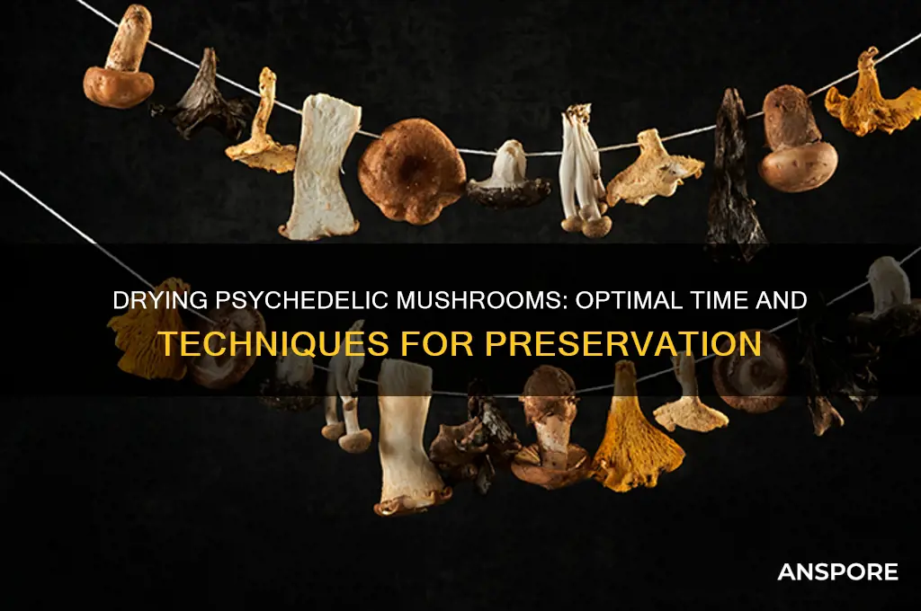 how long does it take psychadelic mushrooms to dry