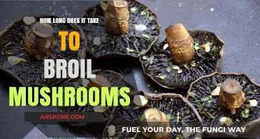 Perfectly Broiled Mushrooms: Timing Tips for Juicy, Golden Results