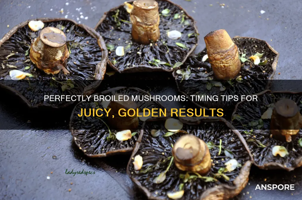 how long does it take to broil mushrooms