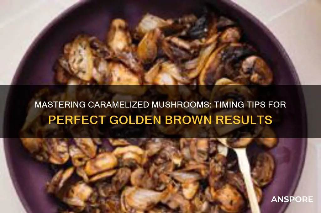 how long does it take to caramelize mushrooms