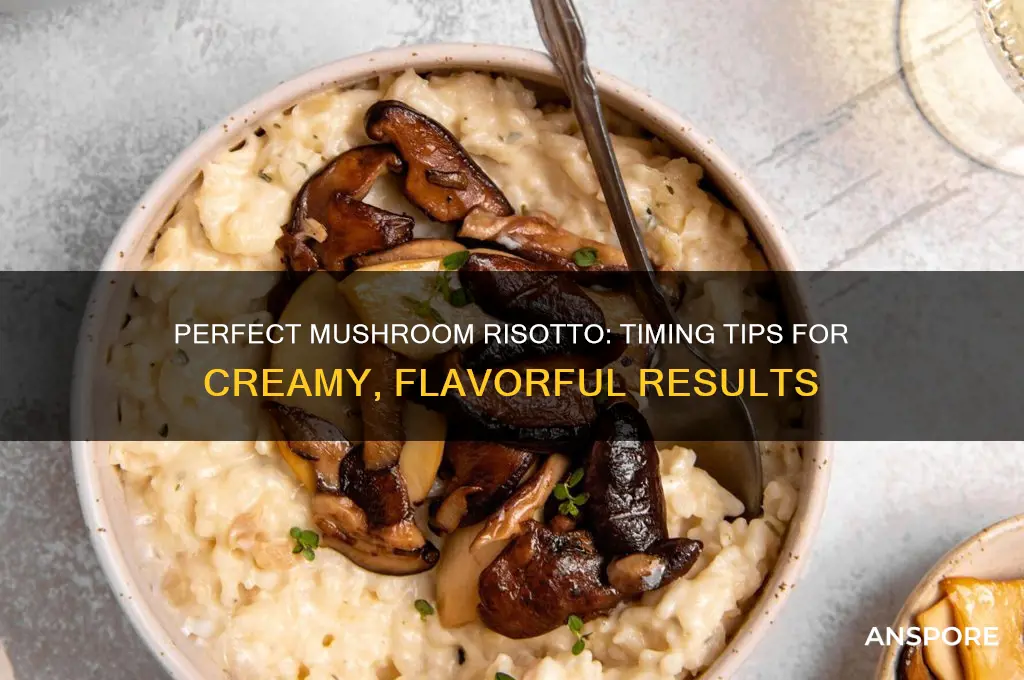 how long does it take to cook mushroom risotto