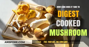 Digesting Cooked Mushrooms: Understanding the Timeframe for Optimal Absorption