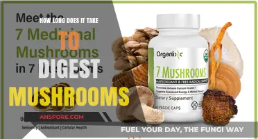 Mushroom Digestion Time: Understanding How Long It Takes to Process