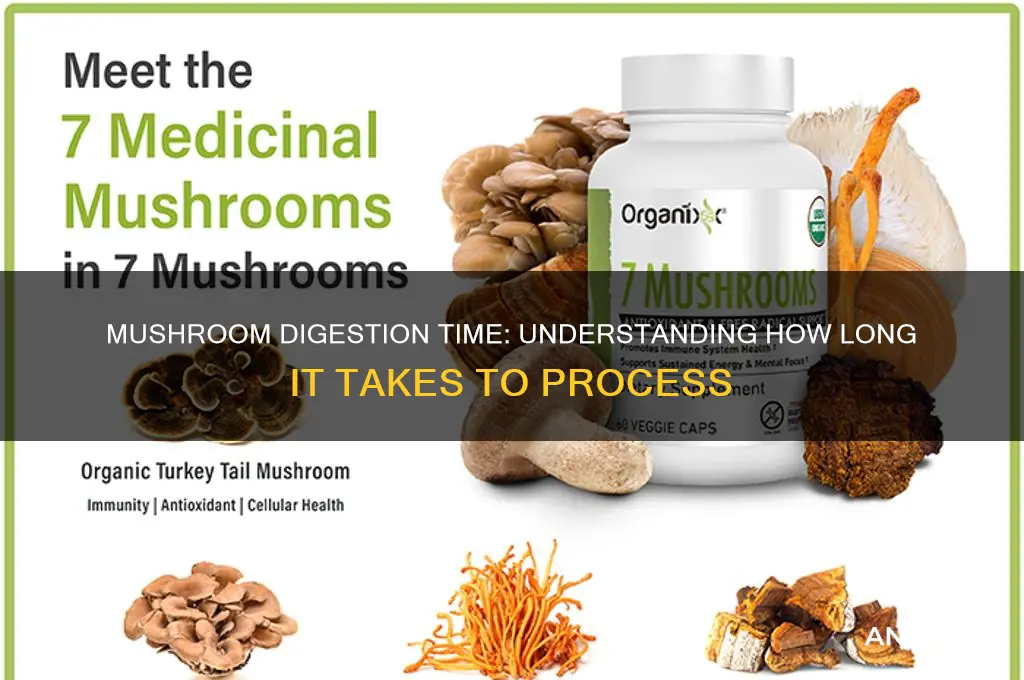 how long does it take to digest mushrooms
