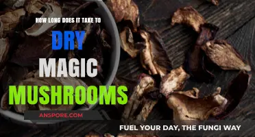 Drying Magic Mushrooms: Timeframe and Best Practices for Preservation