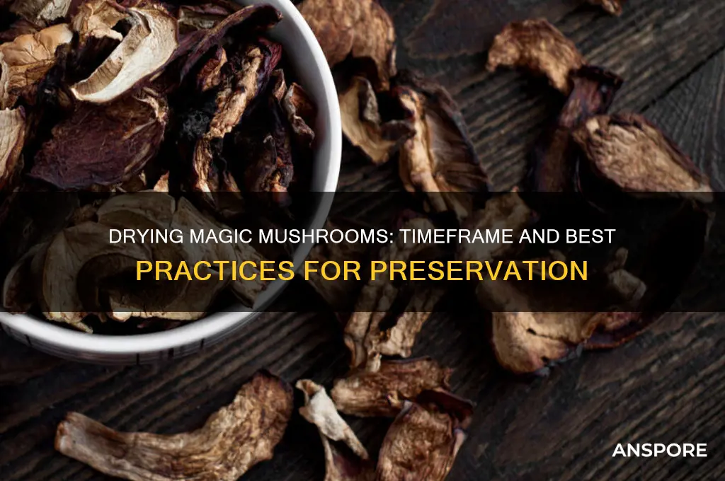 how long does it take to dry magic mushrooms