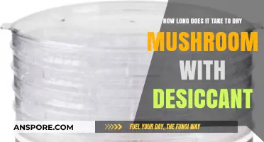 Drying Mushrooms with Desiccant: Optimal Time for Perfect Preservation