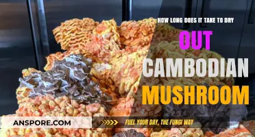 Drying Cambodian Mushrooms: Optimal Time and Techniques for Perfect Results