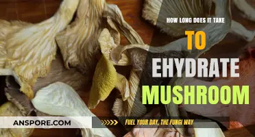 Rehydrating Mushrooms: Quick Tips for Perfect Texture and Flavor
