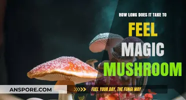 Magic Mushrooms: Timing the Onset of Psychedelic Effects Explained