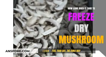 Freeze Drying Mushrooms: Understanding the Optimal Time for Preservation