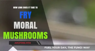 Frying Morels: Time, Tips, and Perfect Crispy Results Explained