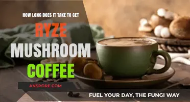 Ryze Mushroom Coffee Delivery Time: What to Expect for Your Order