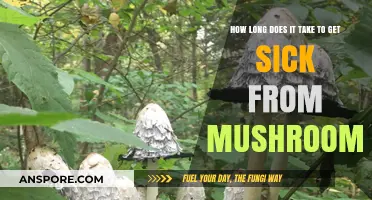 How Long Does It Take to Get Sick from Mushrooms?