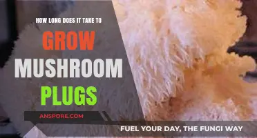 Growing Mushroom Plugs: Understanding the Timeframe for Optimal Harvest
