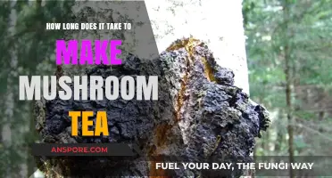 Brewing Mushroom Tea: Understanding the Time Commitment for Perfect Results
