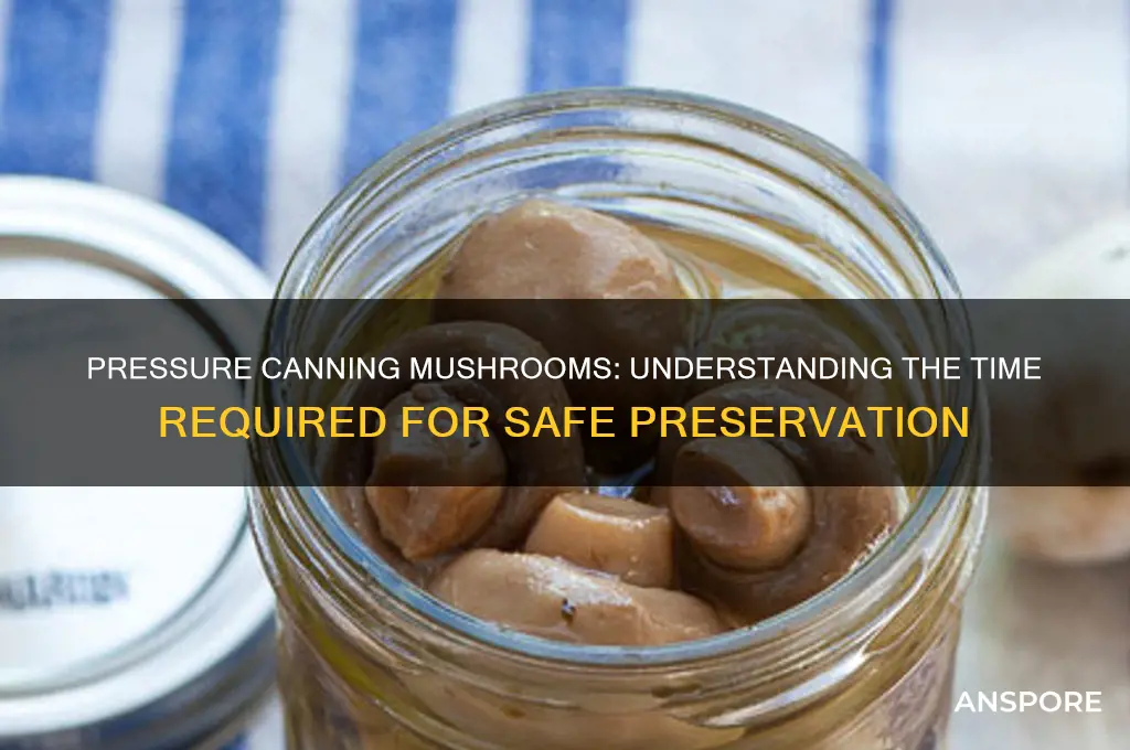 how long does it take to pressure canning mushrooms