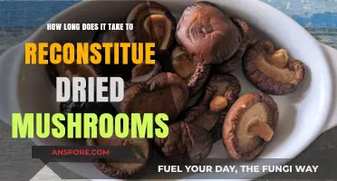 Reconstituting Dried Mushrooms: Timeframe and Tips for Perfect Hydration
