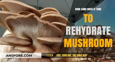 Rehydrating Mushrooms: Timeframe and Tips for Perfect Texture