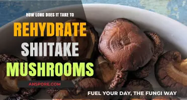 Rehydrating Shiitake Mushrooms: Timeframe and Tips for Perfect Texture