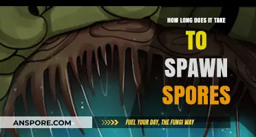 Understanding the Timeframe for Spore Spawn: A Comprehensive Guide