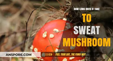 Sweating Mushrooms: Understanding the Time It Takes to Release Moisture