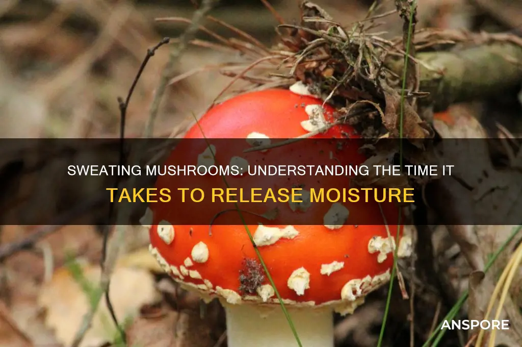 how long does it take to sweat mushrooms