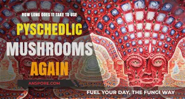 Psychedelic Mushrooms: Timing Your Next Trip Safely and Responsibly