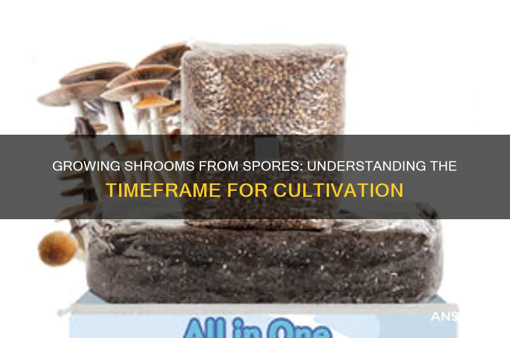 how long does it taketo grow shrooms from spores