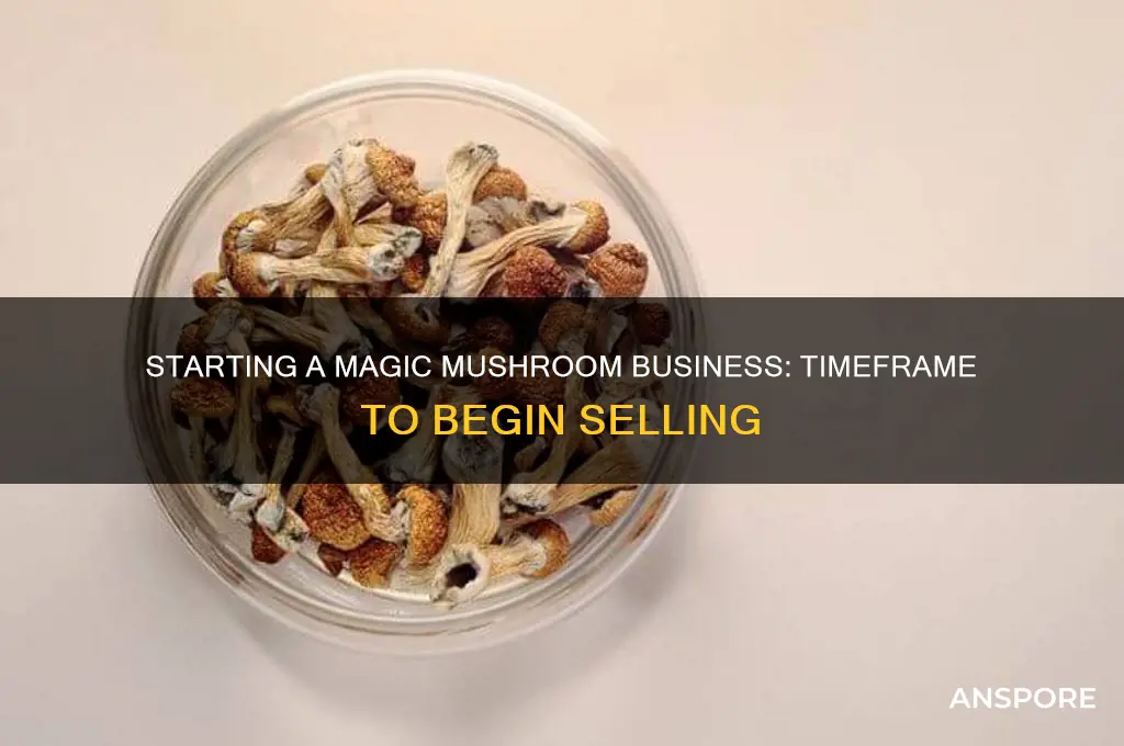 how long does it that to start selling magic mushrooms