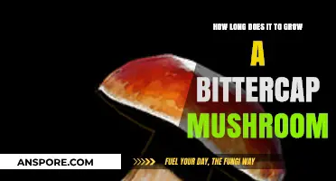 Bittercap Mushroom Growth Timeline: From Spores to Harvest Explained