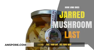 Shelf Life of Jarred Mushrooms: How Long Do They Last?