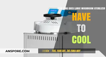 Cooling Time for Large Mushroom Sterilizers: Essential Tips and Guidelines