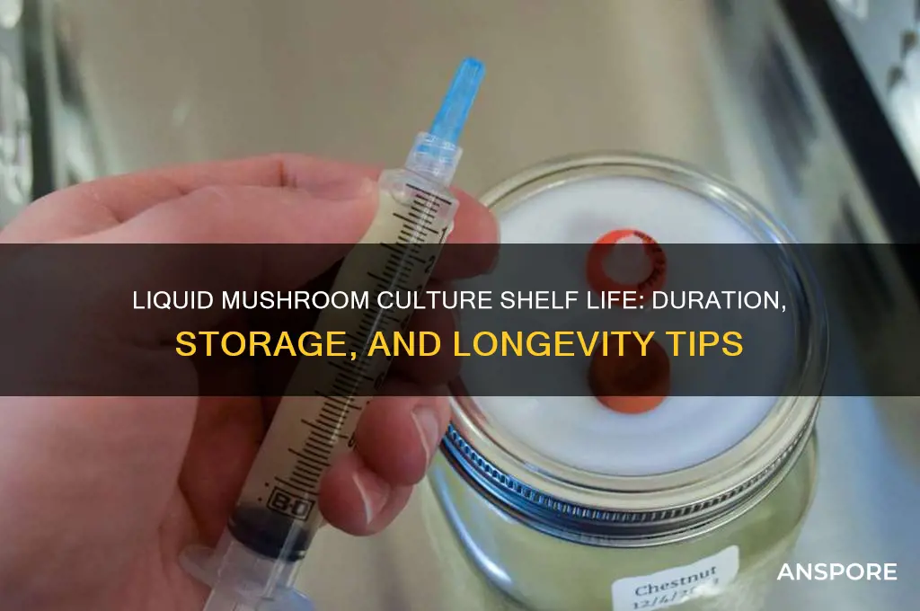 how long does liquid mushroom culture last