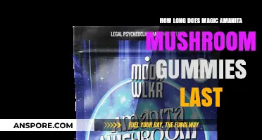 Magic Amanita Mushroom Gummies: Duration and Effects Explained