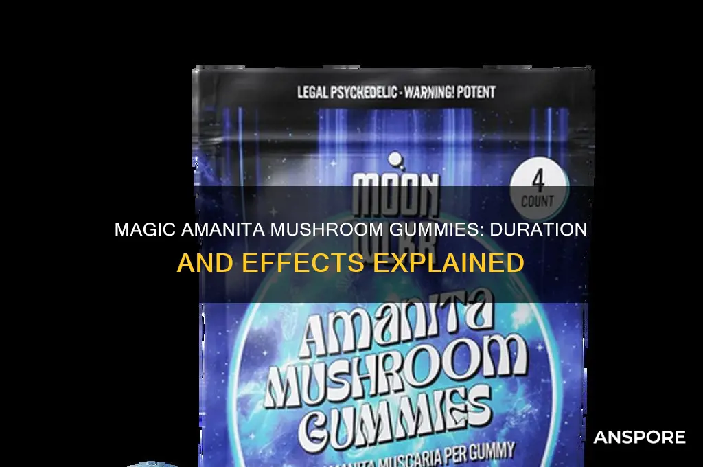 how long does magic amanita mushroom gummies last