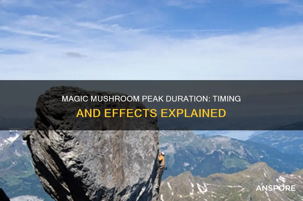 how long does magic mushroom peak