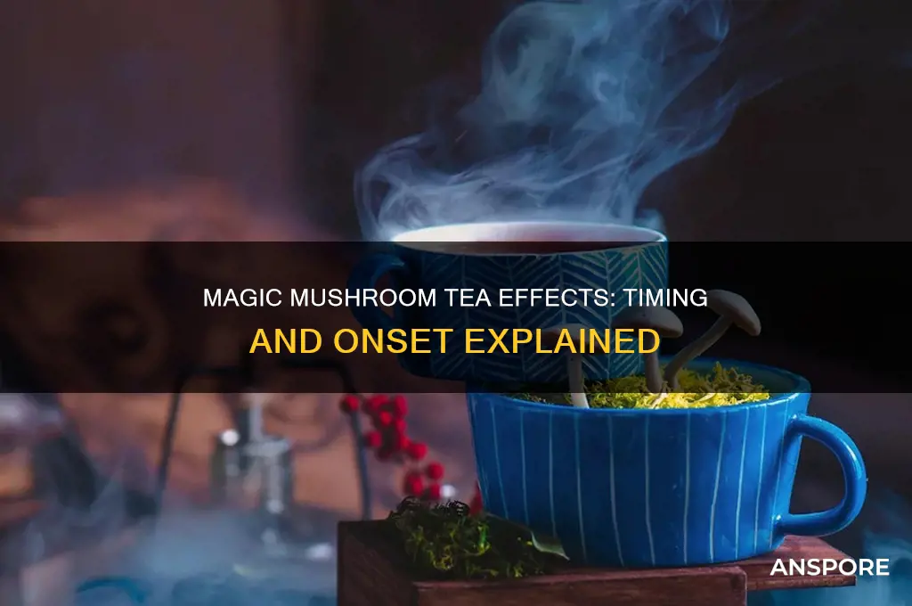 how long does magic mushroom tea take to kick in