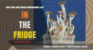 Storing Magic Mushrooms: Fridge Shelf Life and Freshness Tips