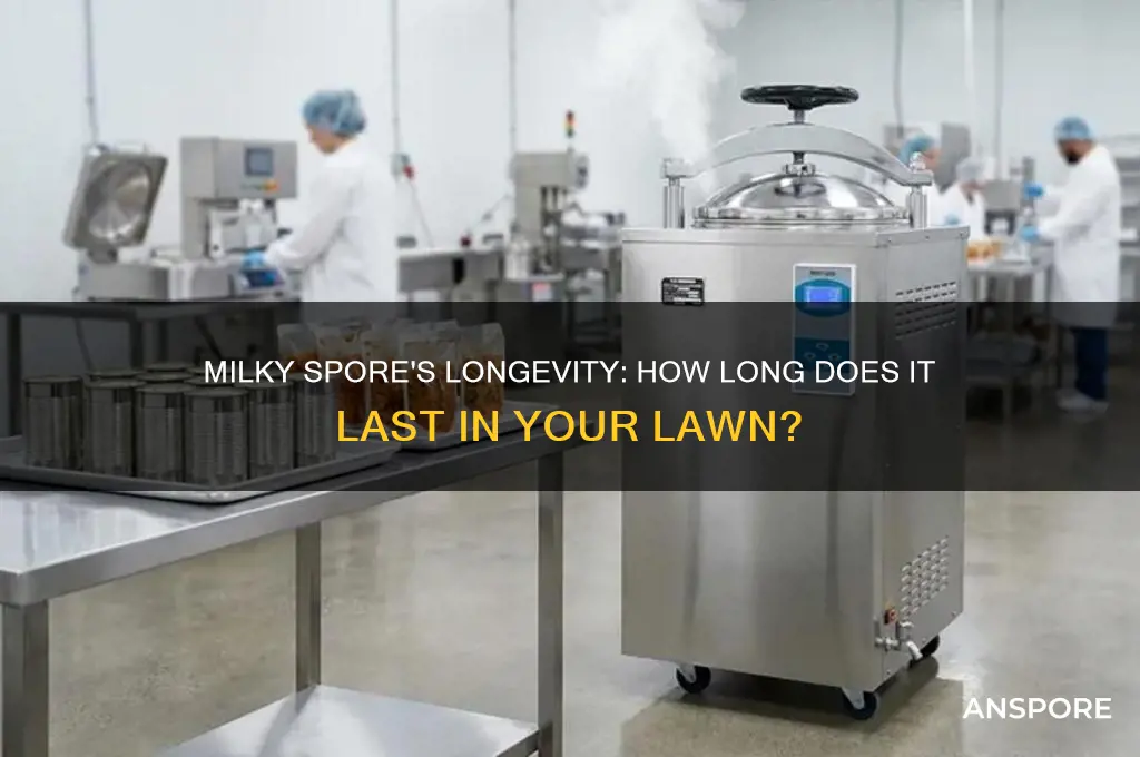 how long does milky spore last