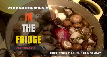 Mushroom Broth Storage Guide: Fridge Lifespan and Freshness Tips