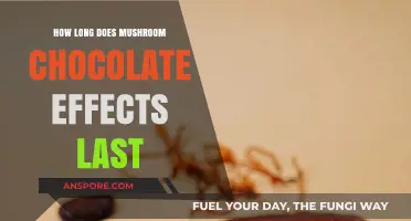 Mushroom Chocolate Effects: Duration and What to Expect