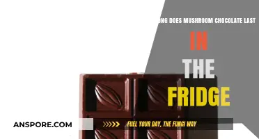 Mushroom Chocolate Shelf Life: Fridge Storage Duration Explained