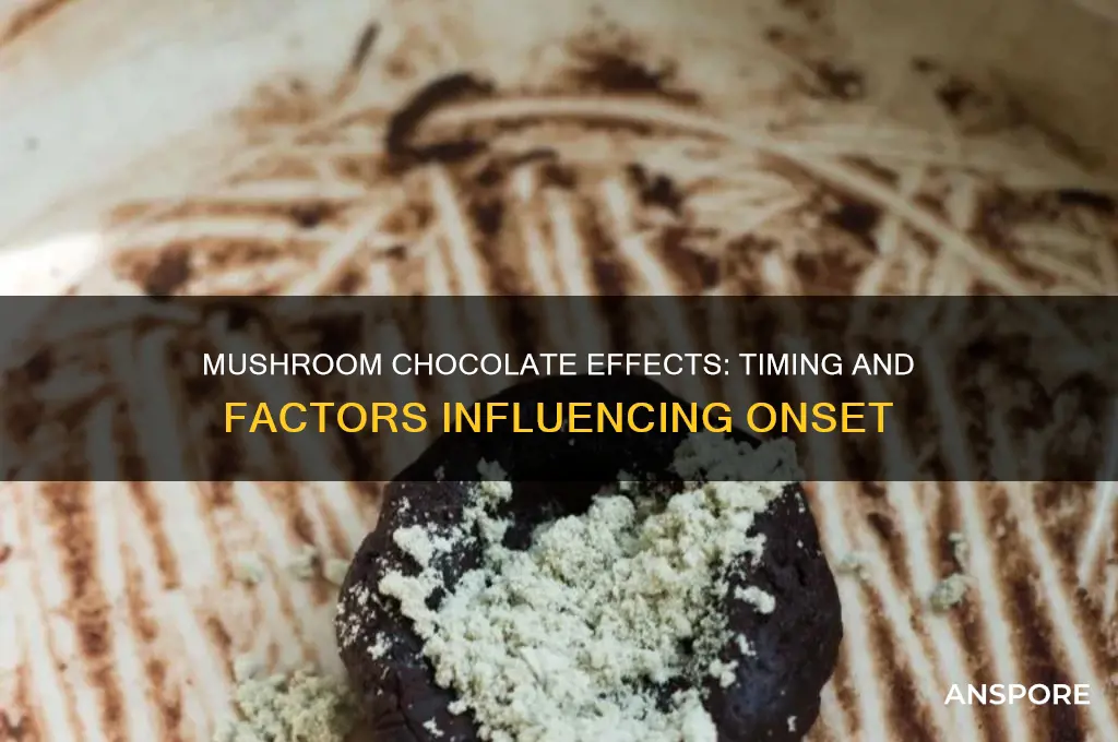 how long does mushroom chocolate take to kick in