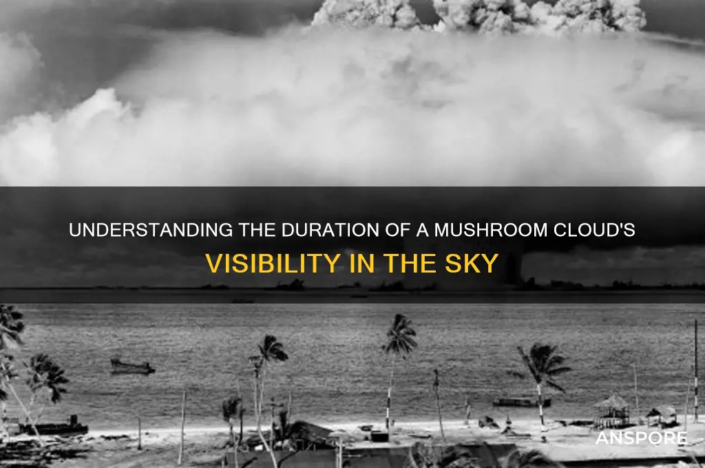 how long does mushroom cloud last