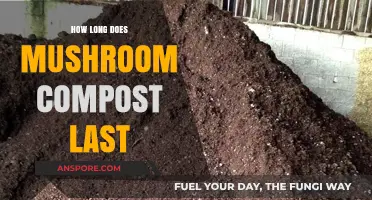 Maximizing Mushroom Compost Lifespan: Tips for Long-Lasting Garden Nutrients