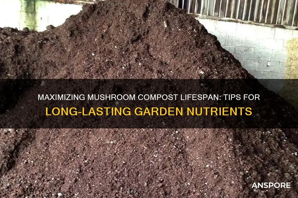 how long does mushroom compost last