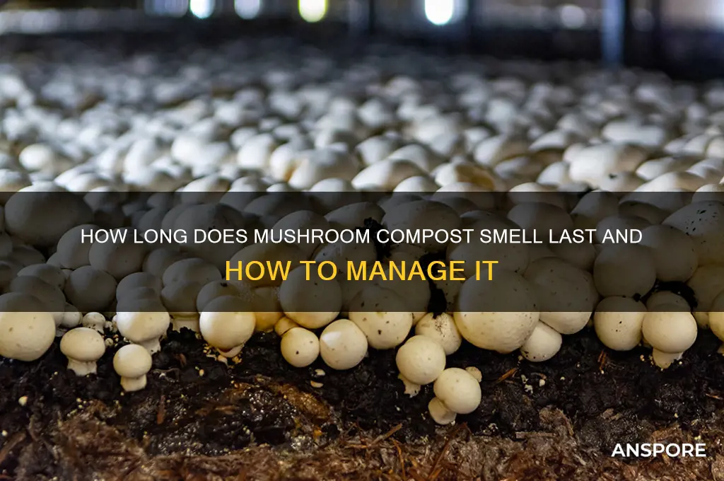how long does mushroom compost smell