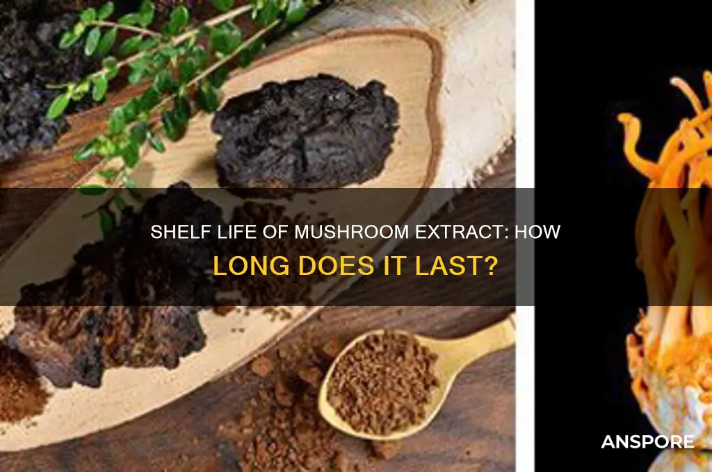 how long does mushroom extract last
