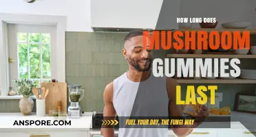 Shelf Life of Mushroom Gummies: How Long Do They Stay Fresh?